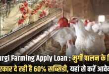 Murgi Farming Apply Loan