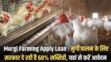 Murgi Farming Apply Loan