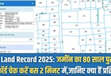 Old Land Record 2025