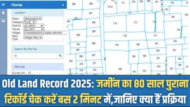 Old Land Record 2025