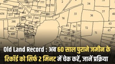 Old Land Record Update