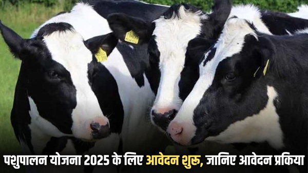 Animal Husbandry Loan Scheme