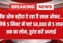 BOB Mudra Loan Apply