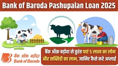 Bank of Baroda Pashupalan Loan