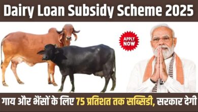 Dairy Subsidy Scheme