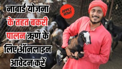 NABARD Goat Farming Loan