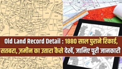 Old Land Record Detail