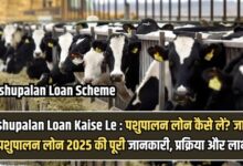 Pashupalan Loan Kaise Le