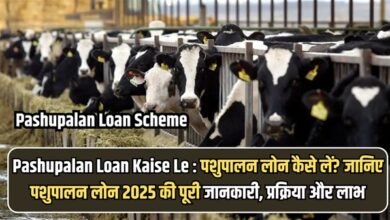 Pashupalan Loan Kaise Le