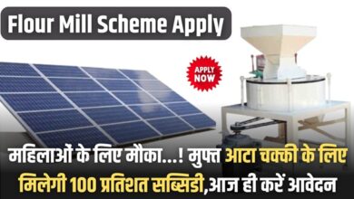 Flour Mill Scheme Apply