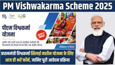 PM Vishwakarma Sewing Machine