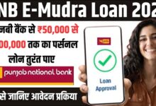 PNB E-Mudra Loan