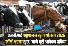SBI Pashupalan Loan Scheme 