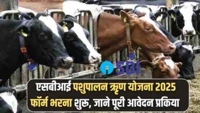 SBI Pashupalan Loan Scheme 