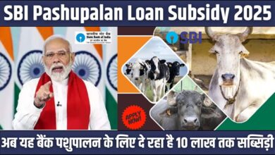 SBI Pashupalan Loan Subsidy
