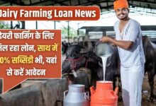 Dairy Farming Loan News