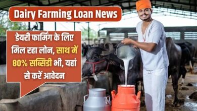 Dairy Farming Loan News