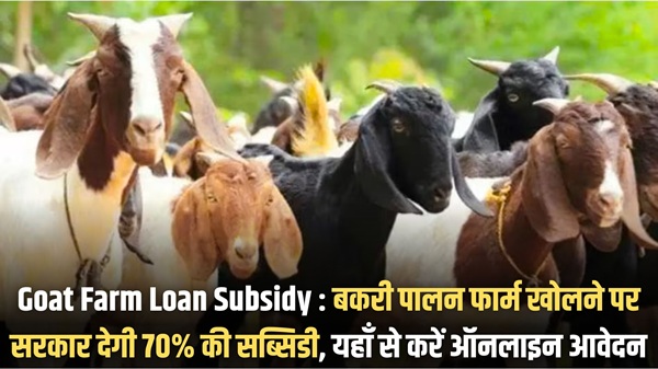 Goat Farm Loan Subsidy
