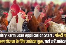 Poultry Farm Loan Application