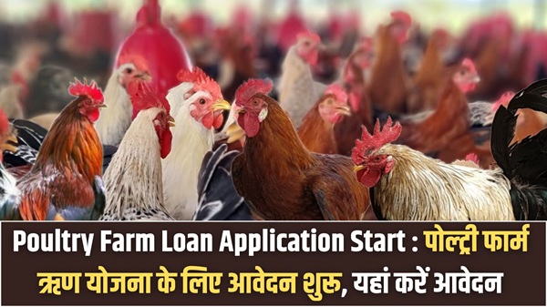 Poultry Farm Loan Application