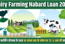 Dairy Farming Nabard Loan