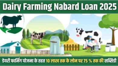 Dairy Farming Nabard Loan