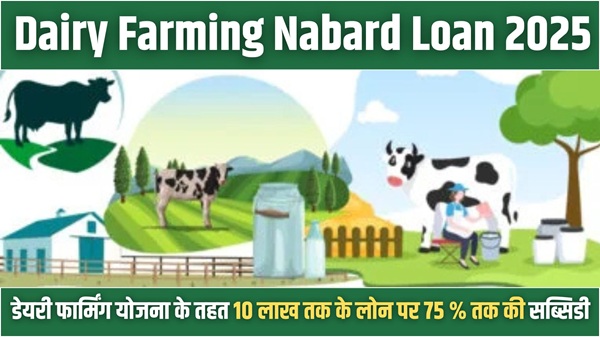 Dairy Farming Nabard Loan
