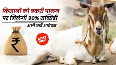 Goat Farm Loan Apply