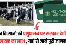 Pashu KCC Loan Scheme