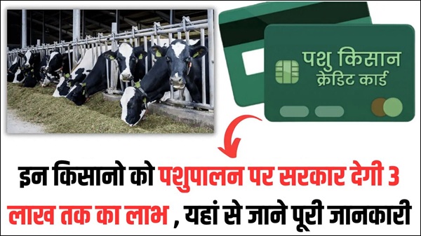 Pashu KCC Loan Scheme