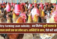 Poultry Farming Loan subsidy