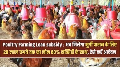 Poultry Farming Loan subsidy