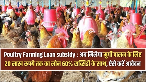 Poultry Farming Loan subsidy
