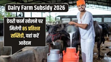 Dairy Farm Subsidy 2026