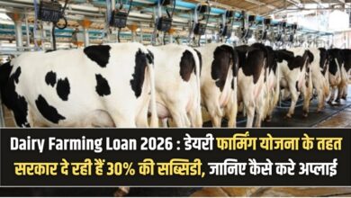 Dairy Farming Loan 2026