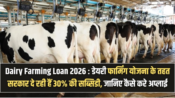 Dairy Farming Loan 2026