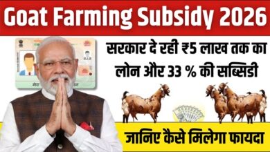Goat Farming Subsidy 2026