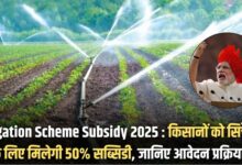 Irrigation Scheme Subsidy 2025