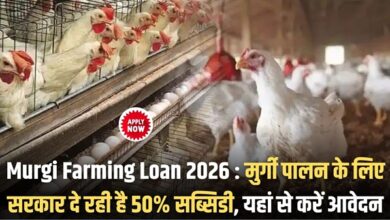 Murgi Farming Loan 2026
