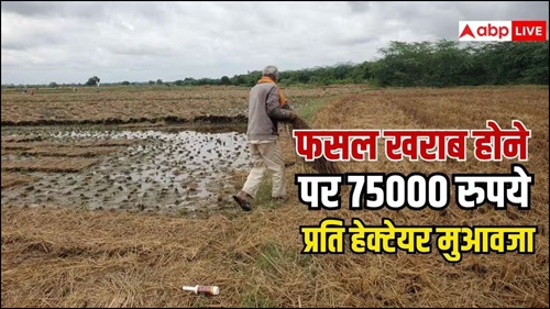 Crop Insurance 2026